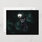 黒猫の月はがき ポストカード (正面/裏面)