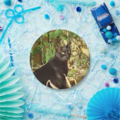 黒猫の朝日曜日 ペーパープレート (パーティー)