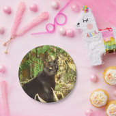 黒猫の朝日曜日 ペーパープレート (パーティー)