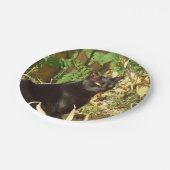 黒猫の朝日曜日 ペーパープレート (アングル)