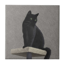 黒猫の王族