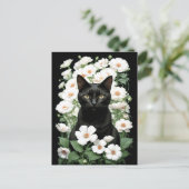 黒猫の白い花（更新）はがき ポストカード (スタンド正面)