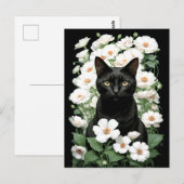 黒猫の白い花（更新）はがき ポストカード (正面/裏面)