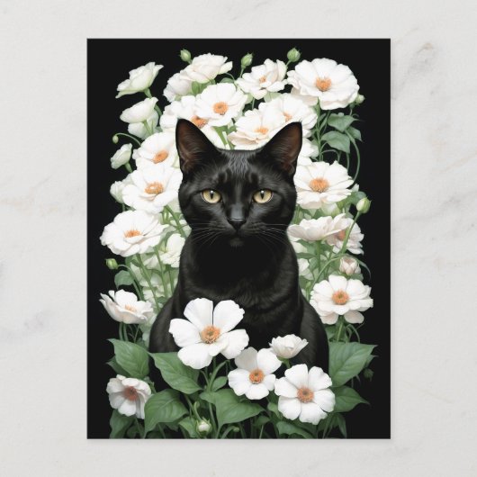 黒猫の白い花（更新）はがき ポストカード (正面)