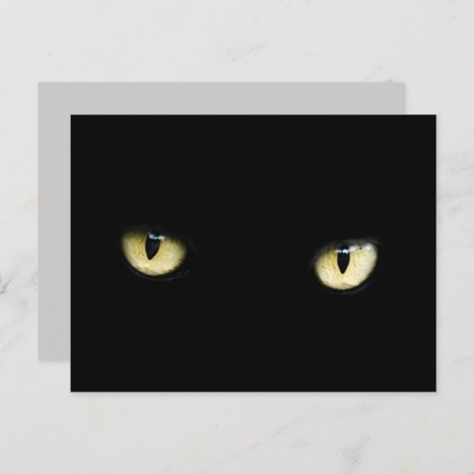 黒猫の目の絵 ポストカード (正面/裏面)