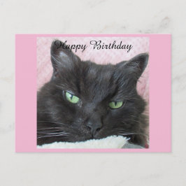 黒猫の誕生日ポストカード ポストカード