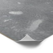 黒猫の雪のポスター ポスター (角)