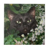 黒猫の顔のタイル タイル (正面)