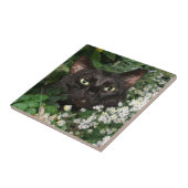 黒猫の顔のタイル タイル (側面)