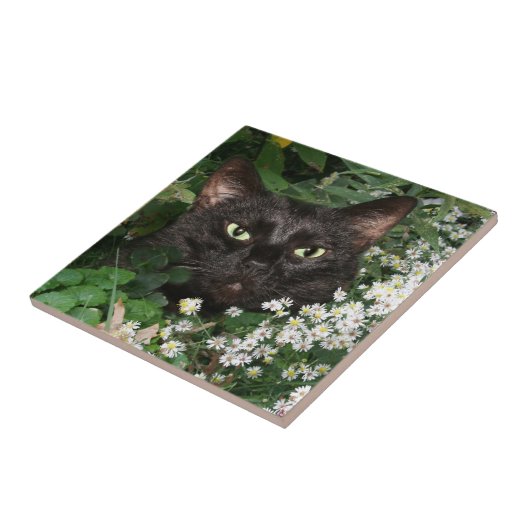 黒猫の顔のタイル タイル (側面)