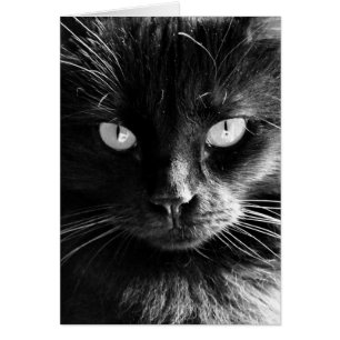 黒猫の顔、目、鼻、ひげはノートを消します