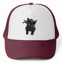 黒猫の魅力|過去記事