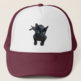 黒猫の魅力|過去記事 キャップ