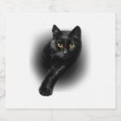 黒猫の黄色い目 スパークリングワインラベル (シングルラベル)