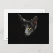 黒猫はがき ポストカード (正面/裏面)