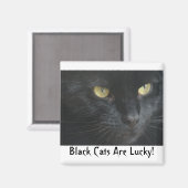 黒猫はラッキー！マグネット マグネット (正面/裏面)