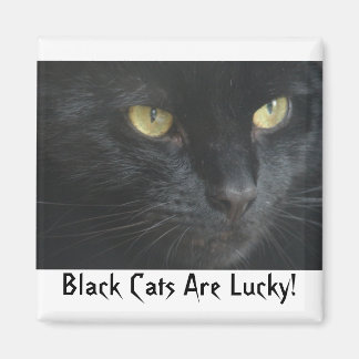 黒猫はラッキー!マグネット マグネット