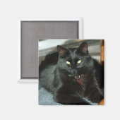 黒猫は太陽の磁石を楽しむ マグネット (正面/裏面)