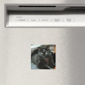 黒猫は太陽の磁石を楽しむ マグネット (インサイチュ (食洗機))