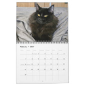 黒猫を噛む: 12ヶ月の頬髯と前足 カレンダー (2月 2027)