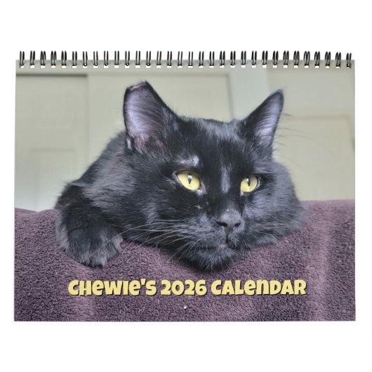黒猫を噛む: 12ヶ月の頬髯と前足 カレンダー (カバー)