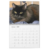 黒猫を噛む: 12ヶ月の頬髯と前足 カレンダー (1月 2027)