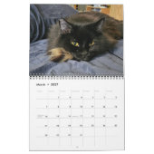 黒猫を噛む: 12ヶ月の頬髯と前足 カレンダー (3月 2027)