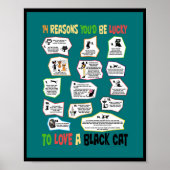 黒猫を愛してラッキーな理由 ポスター (正面)