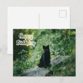 黒猫アウトドア 誕生日おめでとう ポストカード (正面/裏面)