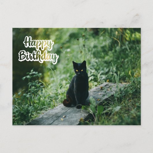 黒猫アウトドア 誕生日おめでとう ポストカード (正面)