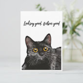 黒猫イエローアイズカード サンキューカード (スタンド正面)