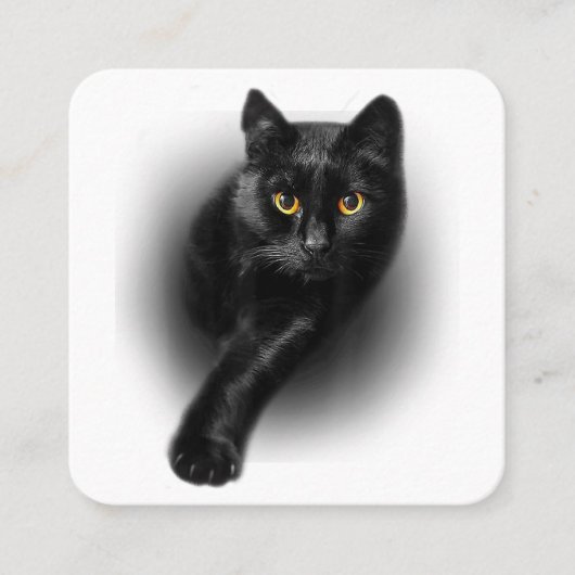 黒猫イエローアイズTシャツ猫ティー スクエア名刺 (正面)