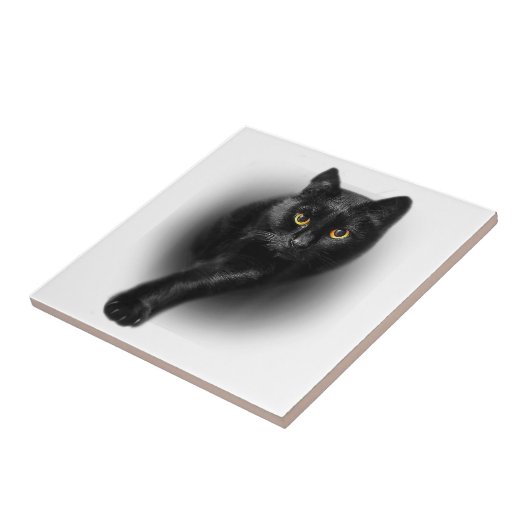 黒猫イエローアイズTシャツ猫ティー タイル (側面)