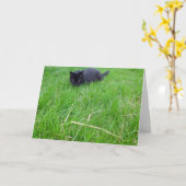 黒猫イングラス誕生日カード カード (黄色い花)