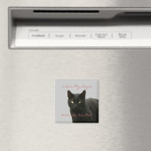 黒猫ウオッチング マグネット (インサイチュ (食洗機))