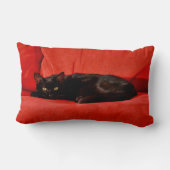 黒猫エドガー ランバークッション (裏面)