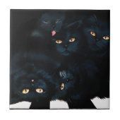 黒猫カドル タイル (正面)