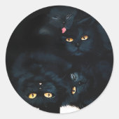 黒猫カドル ラウンドシール (正面)