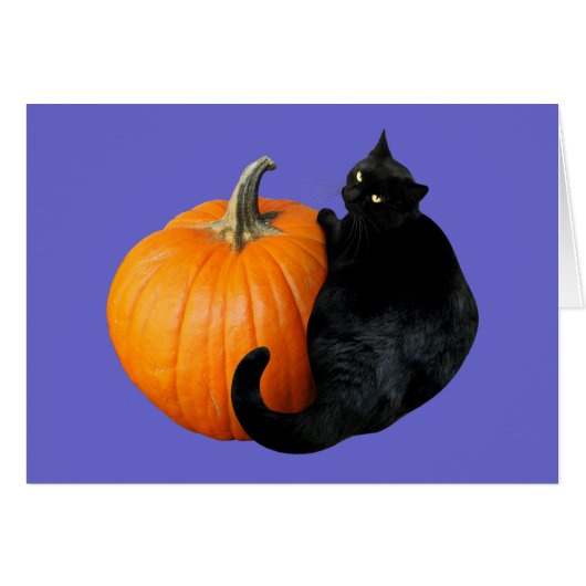 黒猫カボチャ (正面横)