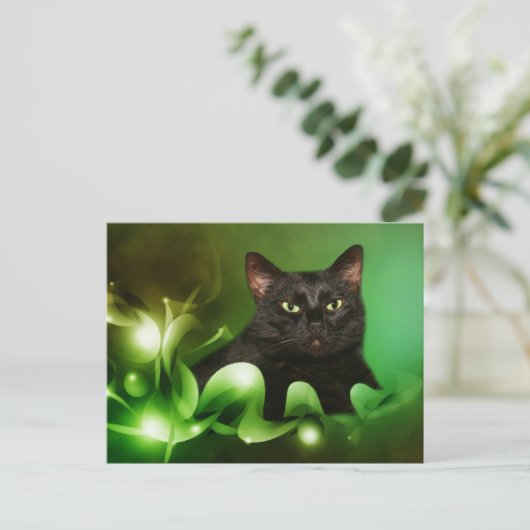 黒猫クリスマス シーズンポストカード (スタンド正面)