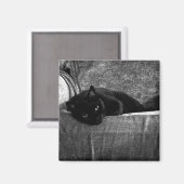 黒猫コンフィ磁石 マグネット (正面/裏面)