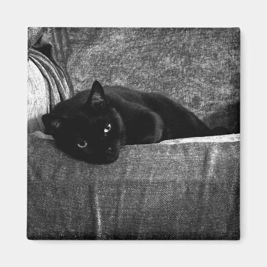 黒猫コンフィ磁石 マグネット (正面)