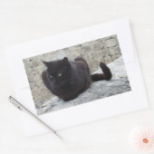 黒猫シール 長方形シール (封筒)