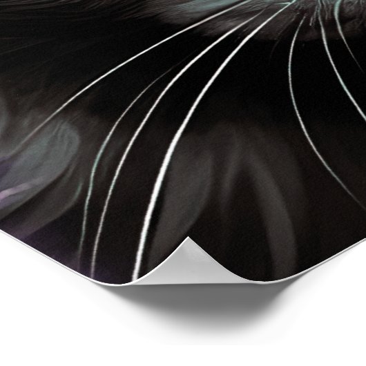 黒猫ハットアルコアーガイルールインキ ポスター (角)