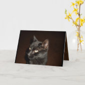 黒猫ハロウィーンカード カード (黄色い花)