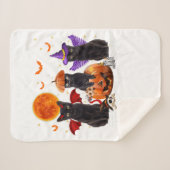 黒猫ハロウィーン、黒猫カボチャに座る シェルパブランケット (正面(横))