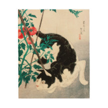 黒猫ヒッシング20世紀