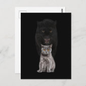 黒猫ヒョウ動物のかわいい進化 ポストカード (正面/裏面)
