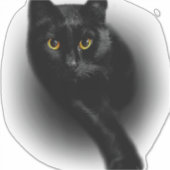 黒猫ファイリング爪、 ネイル シール (正面)