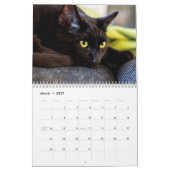 黒猫フォトウォールカレンダー カレンダー (3月 2027)